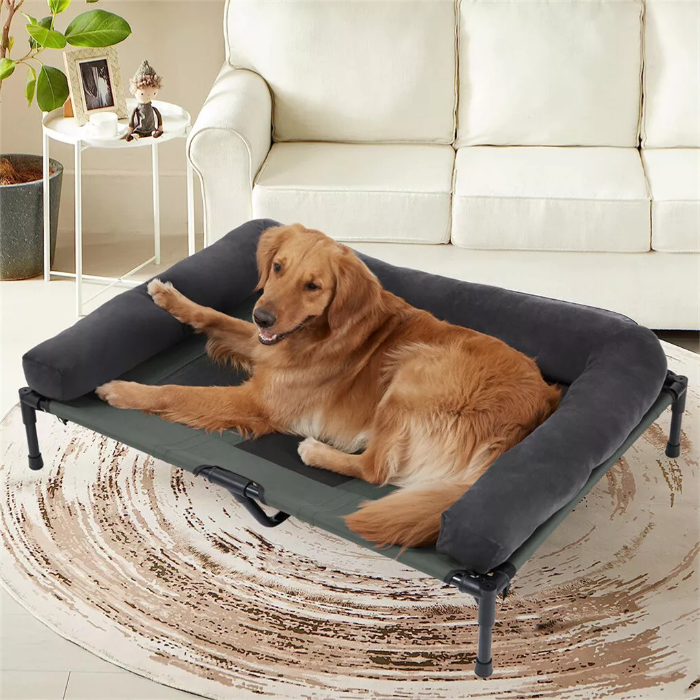 BINGOPAW Outdoor Dog Bed Eleva - огляд і ціна Outdoor Camping Cot
