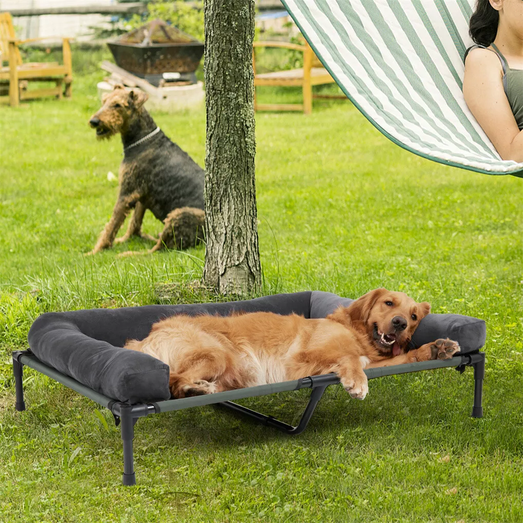 BINGOPAW Outdoor Dog Bed Eleva - огляд і ціна Outdoor Camping Cot