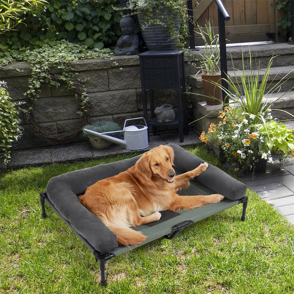 BINGOPAW Outdoor Dog Bed Eleva - огляд і ціна Outdoor Camping Cot